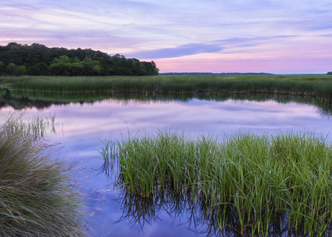 #29. South Carolina